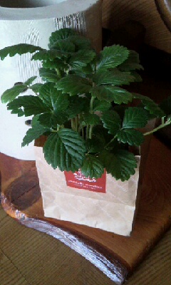 20120329.jpg