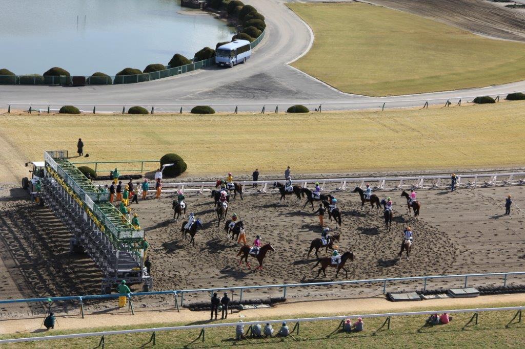 きものde競馬