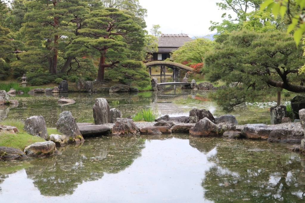 花十色きものdeおでかけ「桂離宮&茶寮八翠」