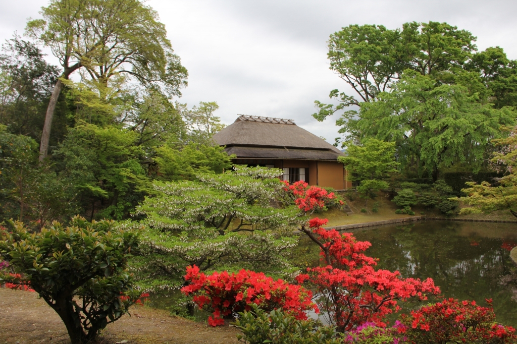 花十色きものdeおでかけ4月