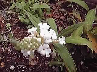 11-09-19_003.jpg
