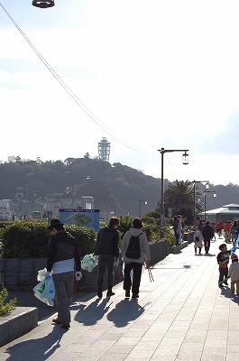 DSC_0028.jpg
