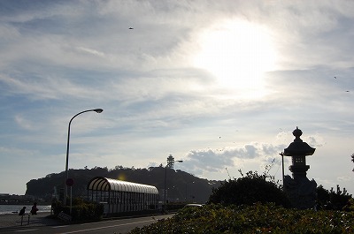 DSC_0035.jpg