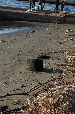 DSC_0062.jpg