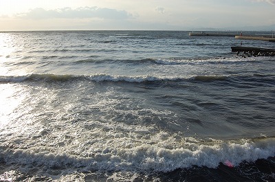 DSC_0112.jpg