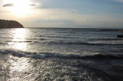 DSC_0113.jpg