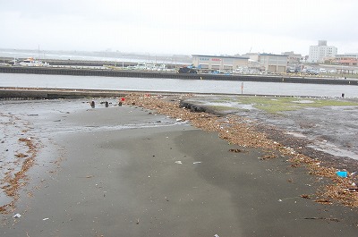 DSC_0239.jpg