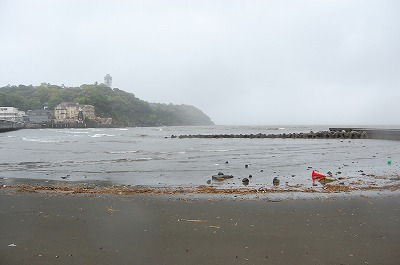 DSC_0262.jpg