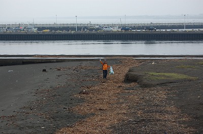 DSC_0549.jpg