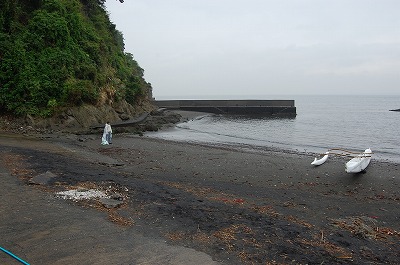 DSC_0558.jpg