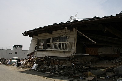 IMG_6028.jpg
