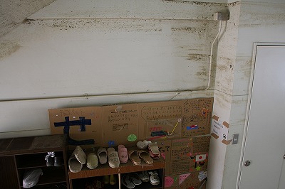 IMG_6053.jpg