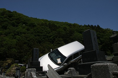 IMG_6074.jpg