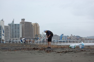 DSC_0377.jpg
