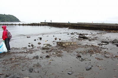 DSC_0394.jpg