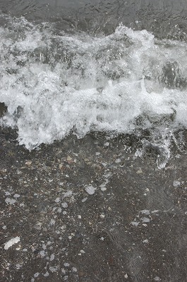 DSC_0567.jpg