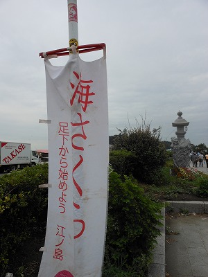 DSCN0019.jpg