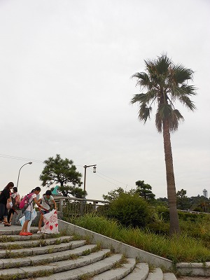 DSCN0044.jpg