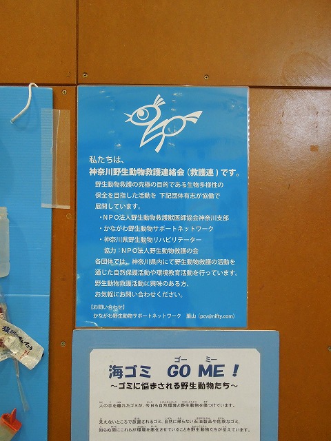 DSCN0386.jpg