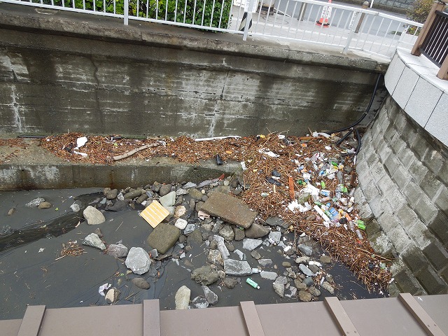 DSCN2402.jpg