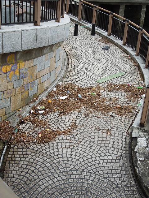 DSCN2403.jpg