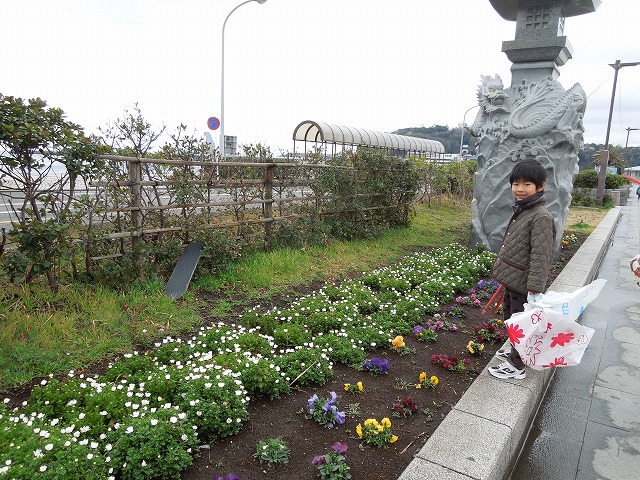 DSCN2408.jpg