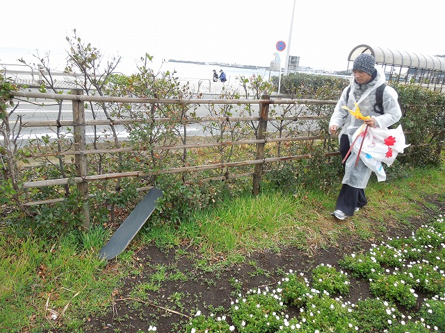 DSCN2409.jpg