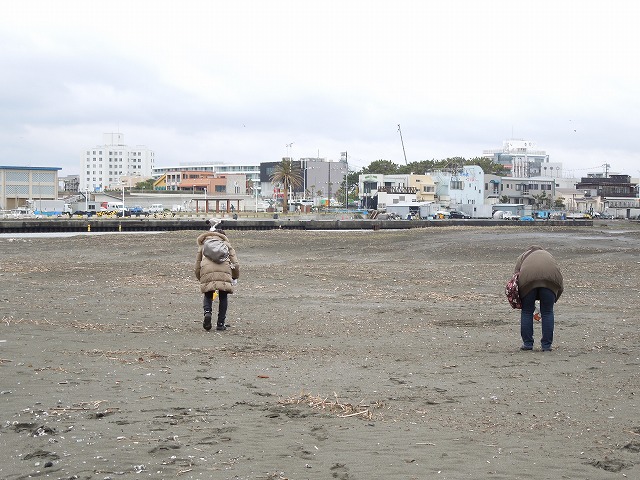 DSCN2422.jpg
