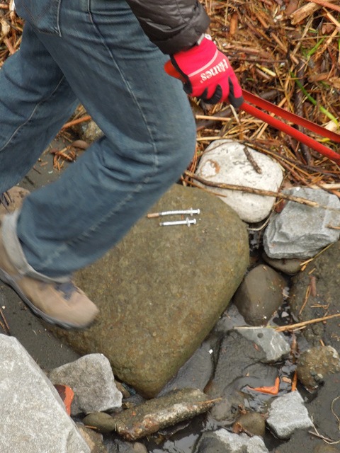 DSCN2444.jpg