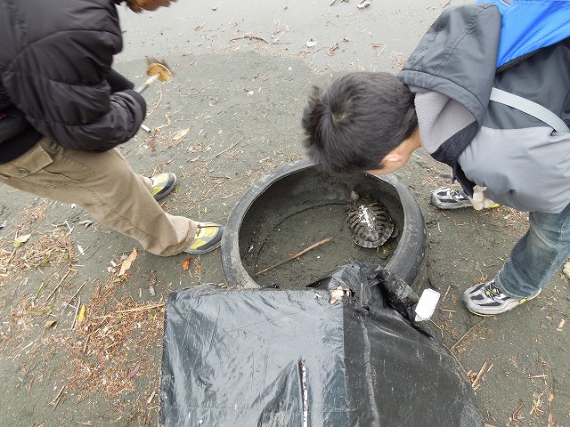 DSCN2448.jpg