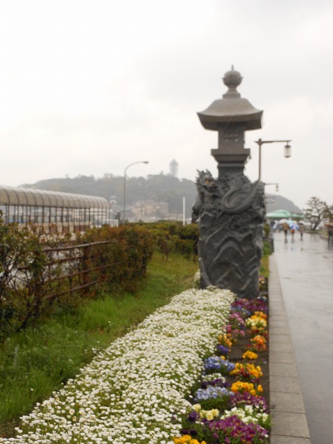 DSCN2646.jpg