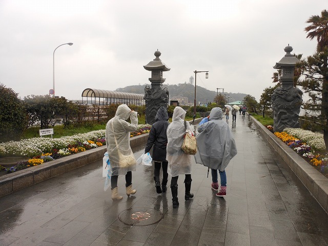 DSCN2648.jpg