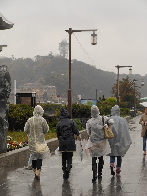 DSCN2649.jpg