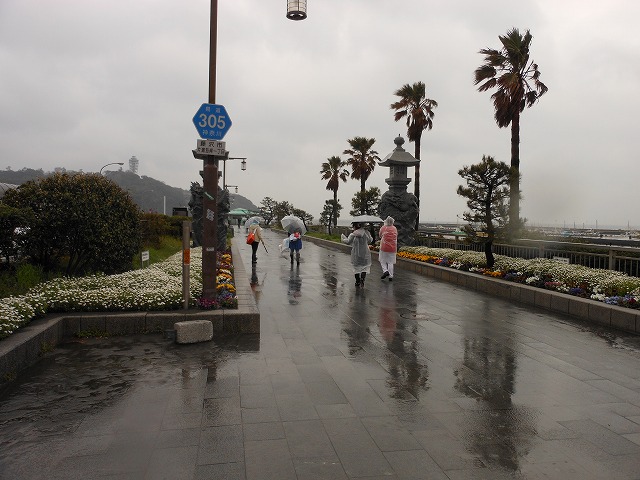 DSCN2655.jpg