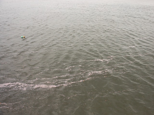 DSCN2666.jpg