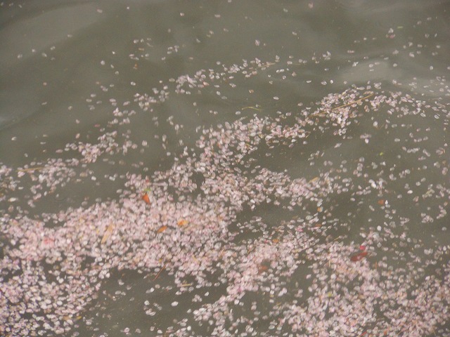 DSCN2669.jpg