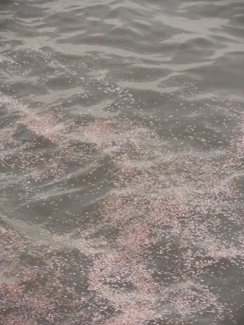 DSCN2671.jpg