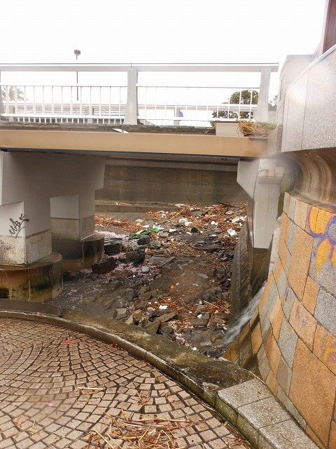DSCN2672.jpg