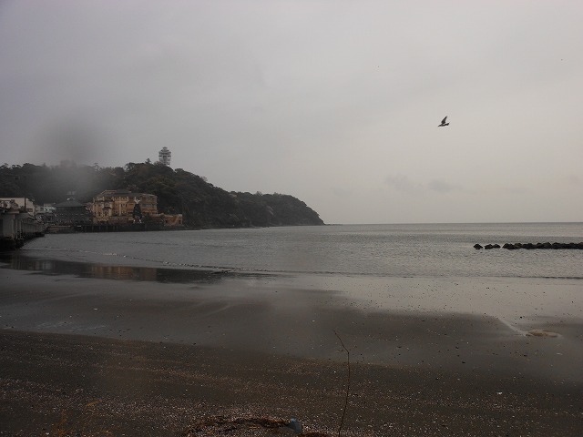 DSCN2693.jpg