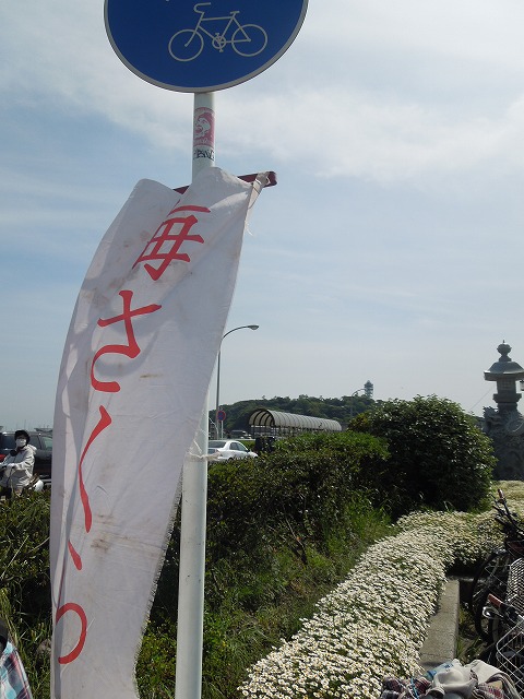 DSCN2662.jpg