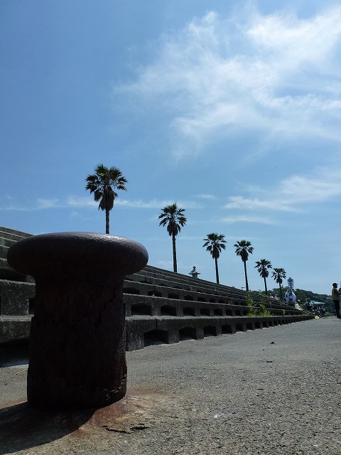 P1020471.jpg