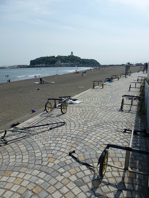 P1020496.jpg