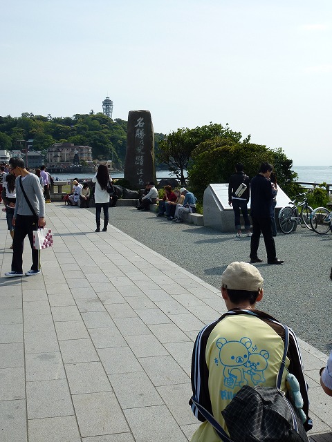 P1020499.jpg
