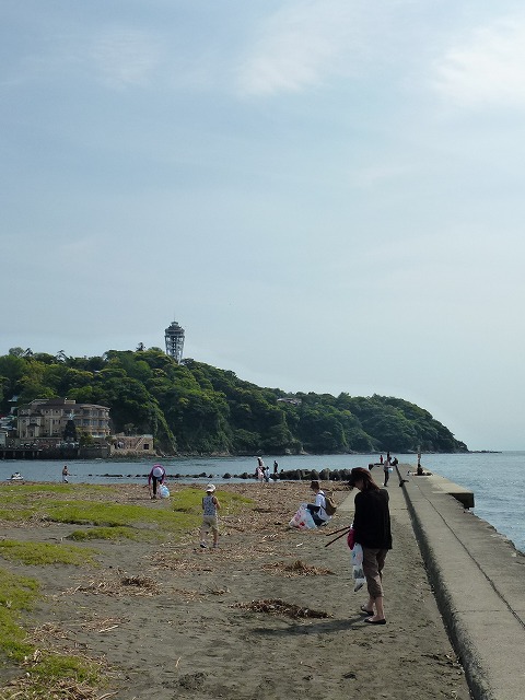 P1020513.jpg