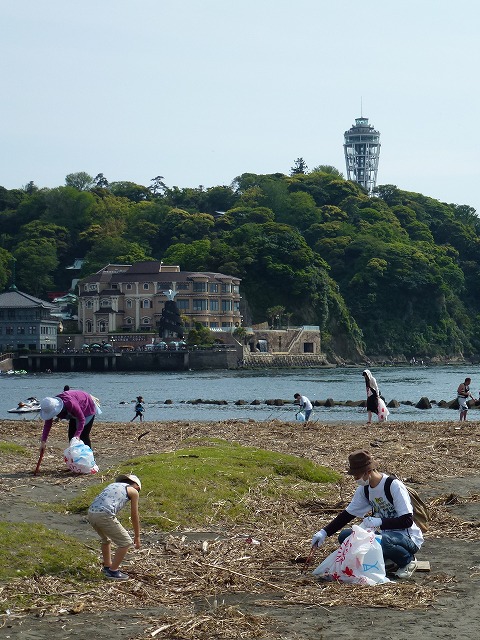 P1020514.jpg