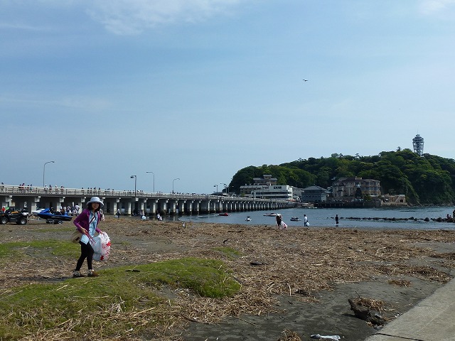 P1020515.jpg