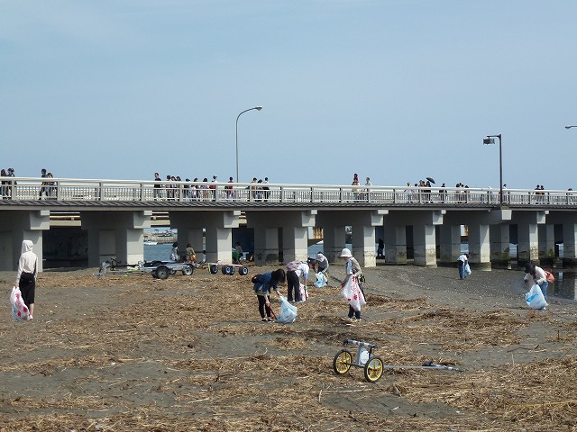 P1020519.jpg