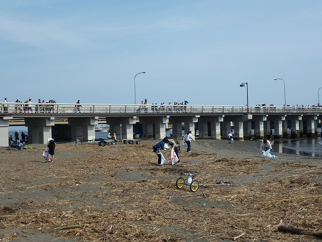 P1020520.jpg