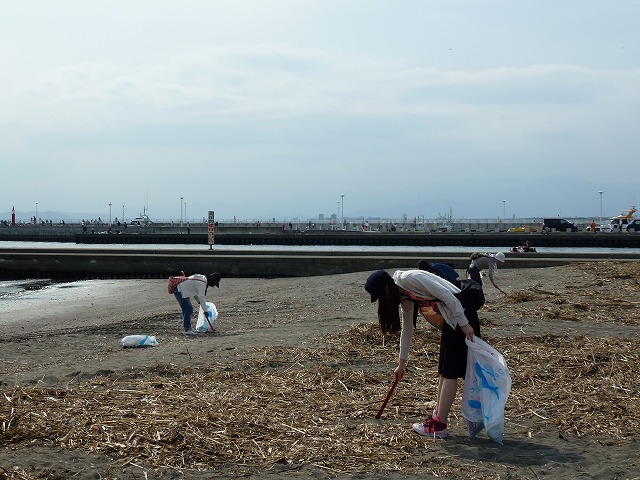 P1020523.jpg
