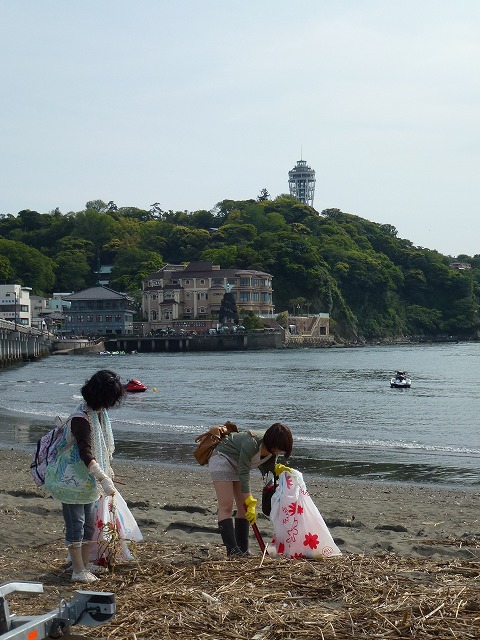 P1020524.jpg